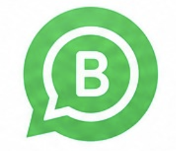 WhatsApp Business API